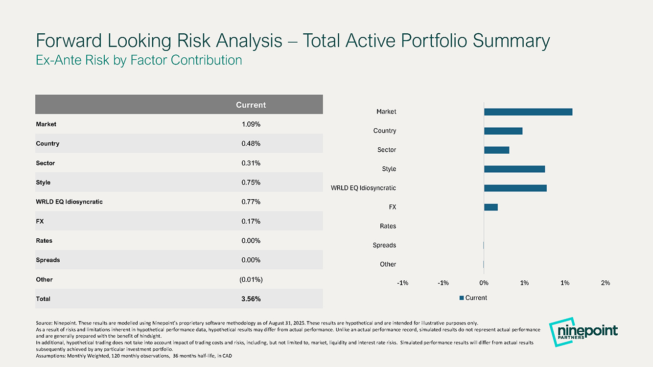 Total and active risk analysis sample report view