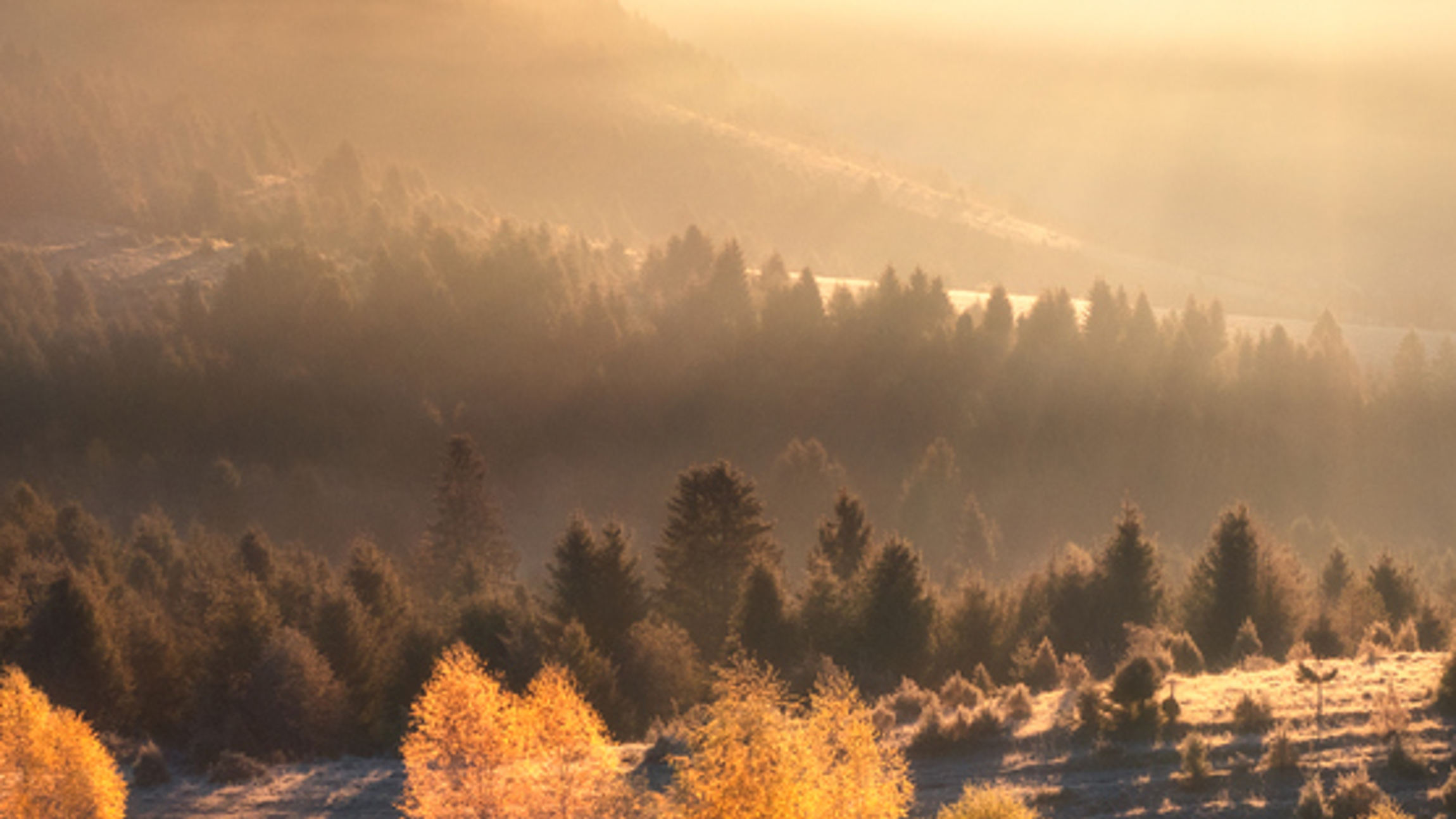 Ninepoint Partners 2026 Market Outlook: Trends to Watch