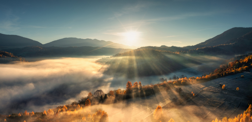 Ninepoint Partners 2026 Market Outlook: Trends to Watch