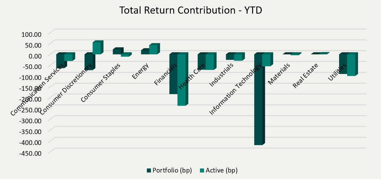 Total Return Contribution - YTD