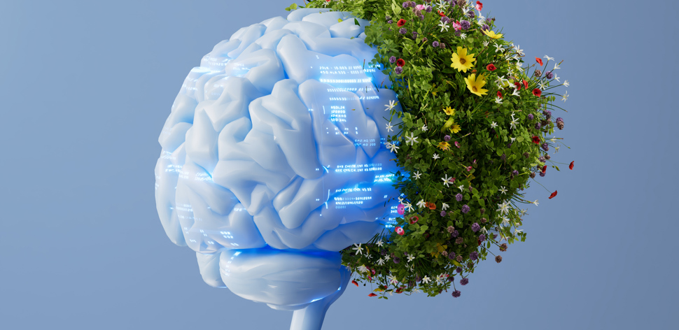 Nvidia, Jevons Paradox, and Why the AI Age is Just Getting Started