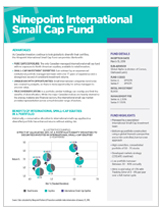 Ninepoint International Small Cap Fund Overview