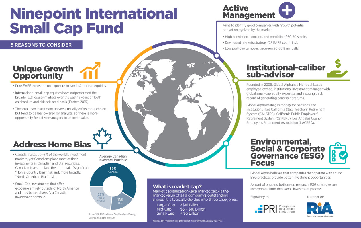 Ninepoint International Small Cap Fund