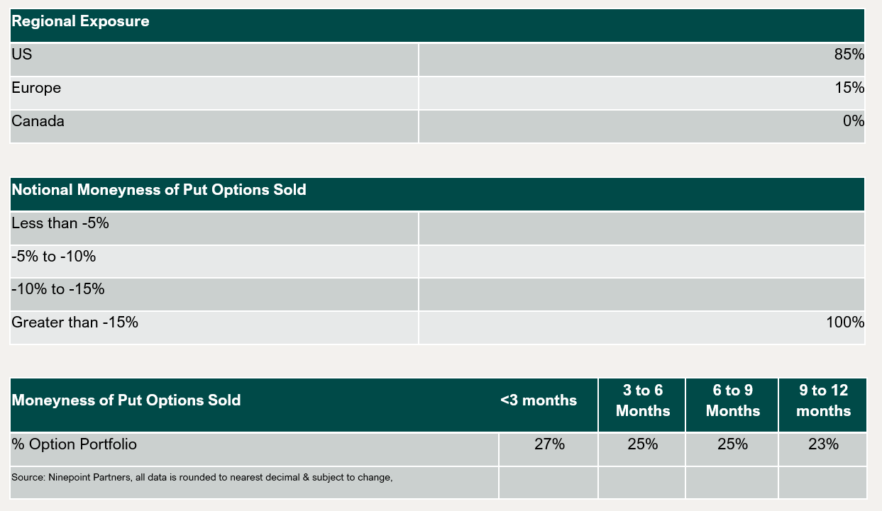 Regional Exposure and Notional Moneyness of Put Options Sold