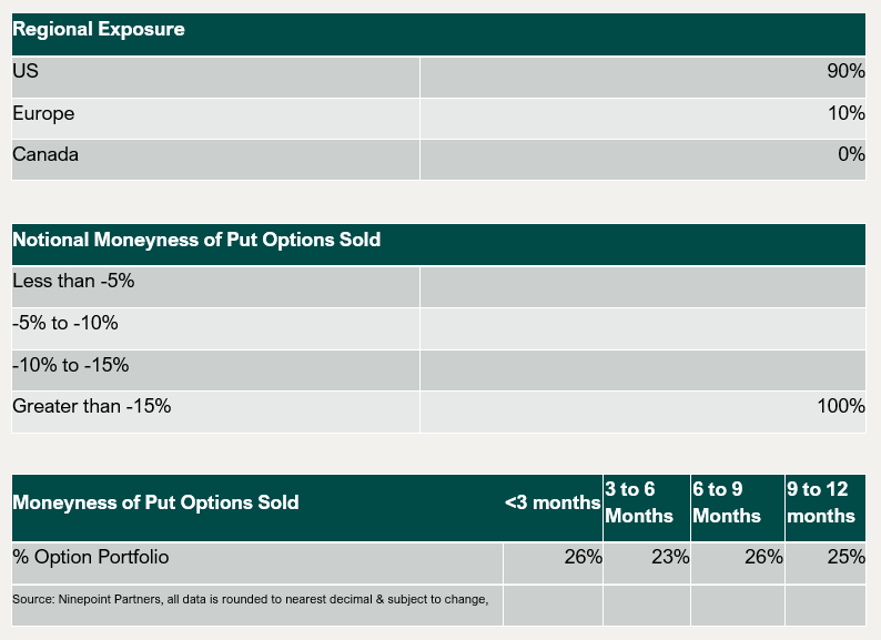 Regional Exposure and Notional Moneyness of Put Options Sold