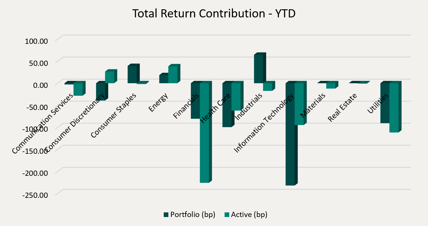 Total Return Contribution - YTD